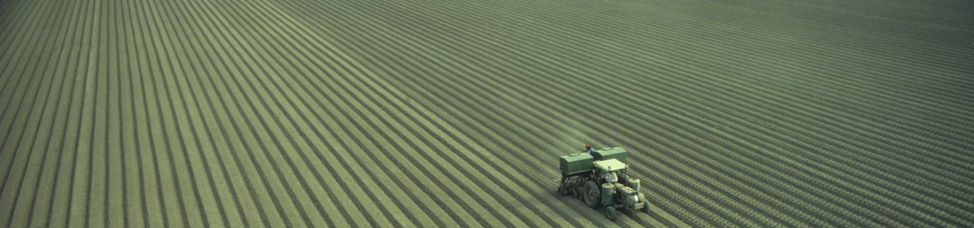 Maszyna rolnicza na polu